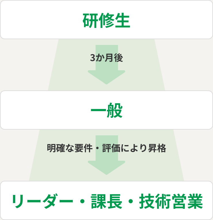研修生から一般、リーダー・課長・技術営業へのキャリアパス図